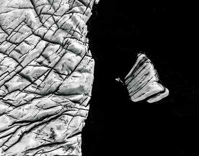 Брянская областная избирательная комиссия торжественно отметила 30-летний юбилей